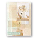 Wellness Daisy Card - Verse Only
